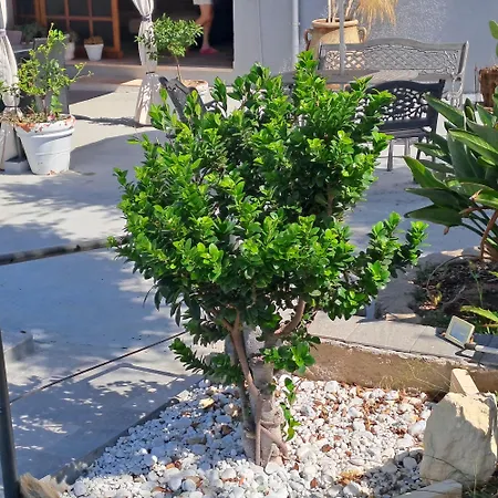 Andres Εξοχικό σπίτι *